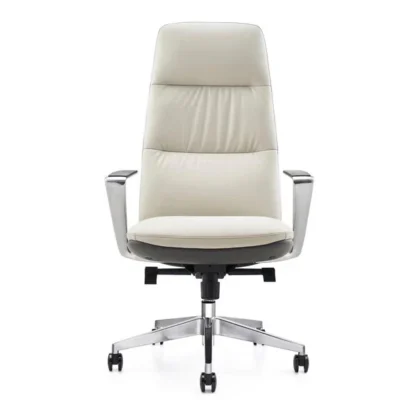 Aqua Premium Luxury Chair - Image 3