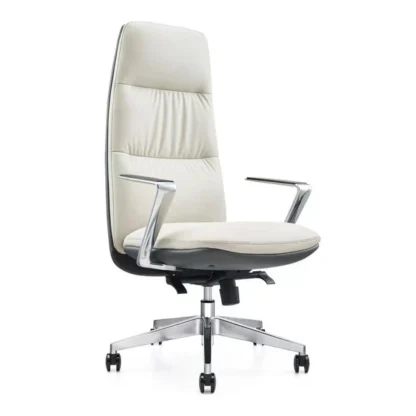 Aqua Premium Luxury Chair - Image 4