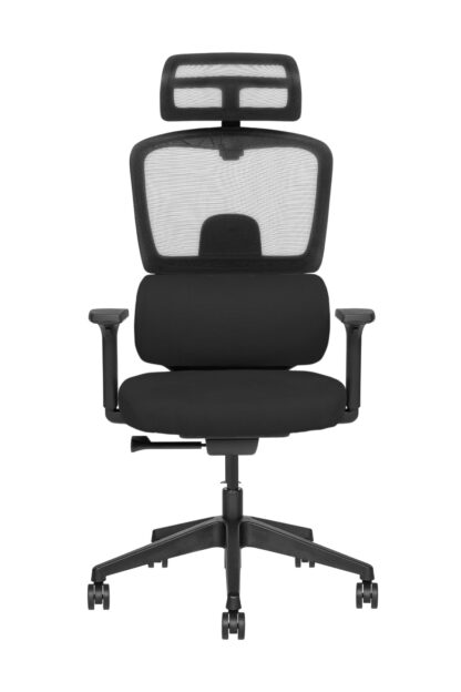 Prime Max Luxury High Back Chair - Image 6